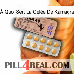 À Quoi Sert La Gelée De Kamagra 41
